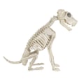 15 Spooky Halloween Decorations That Dog-Lovers Will Just Have to Buy