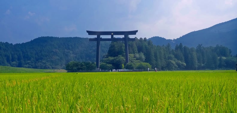 Walking Tour of Japan