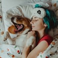 Sharing the Bed With Your Dog Has Pros and Cons — Vets Explain What You Need to Know