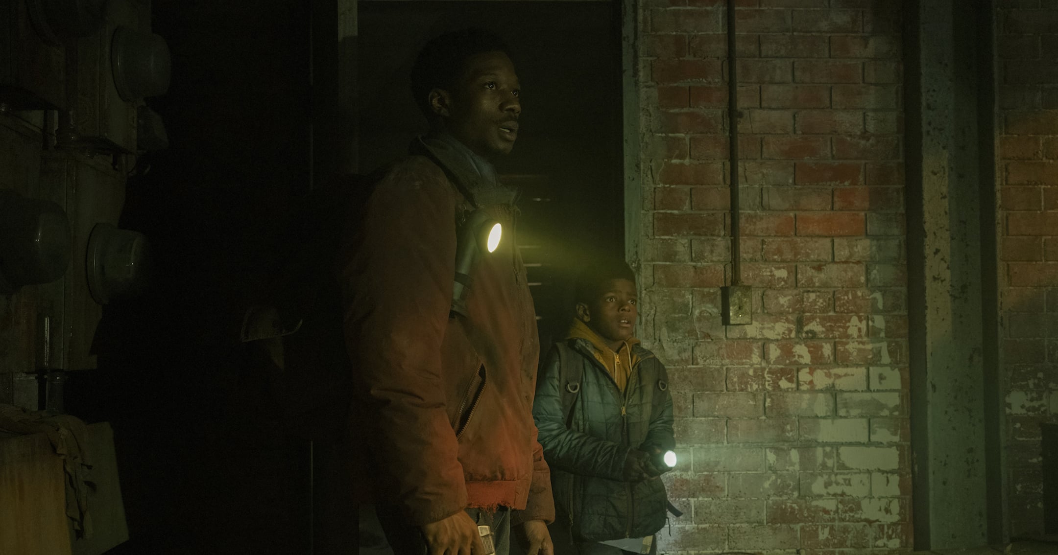 TLOU: Henry and Sam's Plot, Explained | PS Entertainment