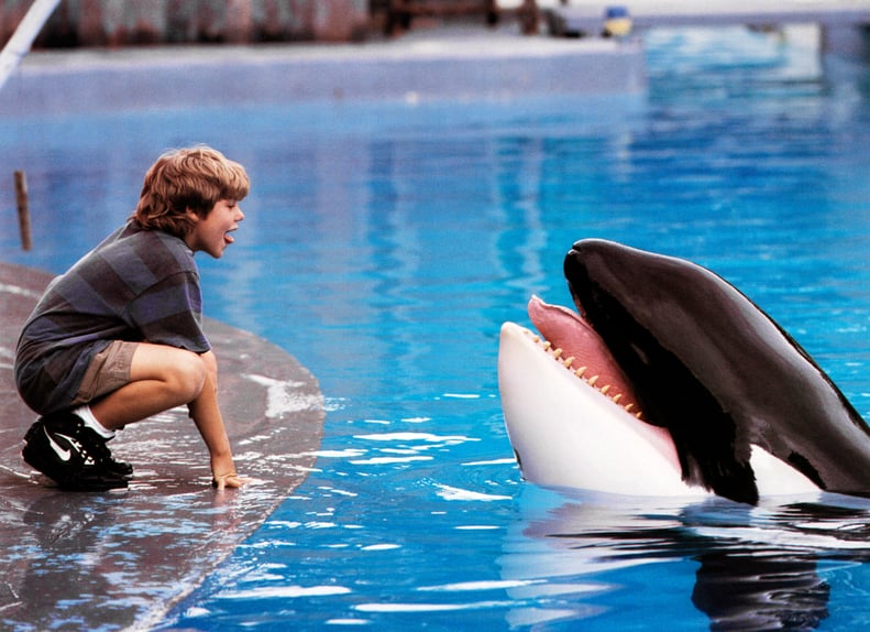 "Free Willy"