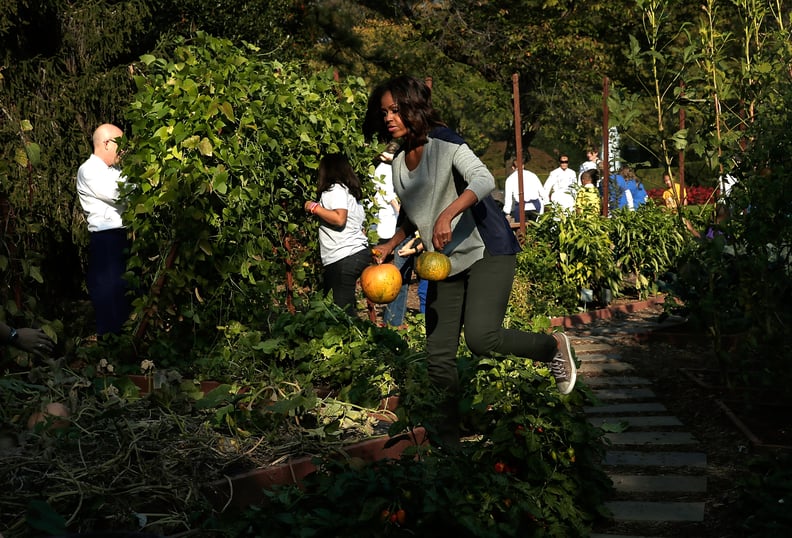 When She Went Pumpkin Picking in the Garden