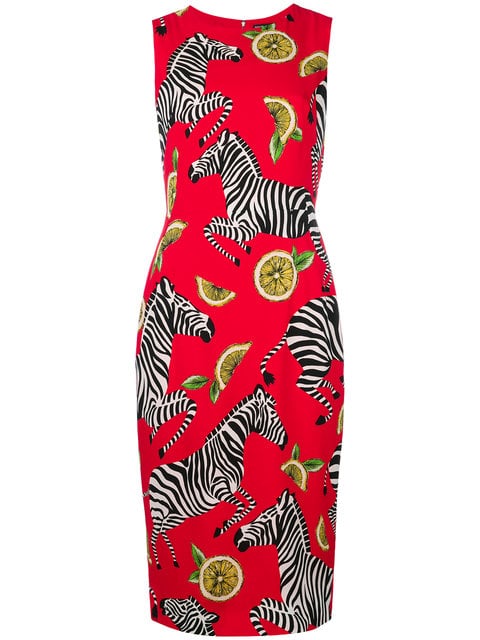 Dolce & Gabbana Zebra Fitted Midi Dress