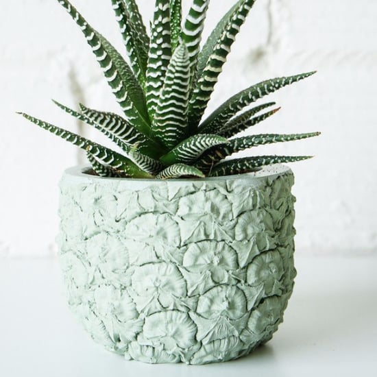 April Home Products | 2015