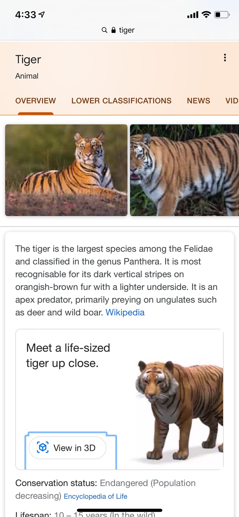 Become a Tiger King with These 3D Animals and Objects on Google