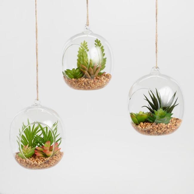 World Market Glass Globes Succulents Grandpa Gifts POPSUGAR Smart