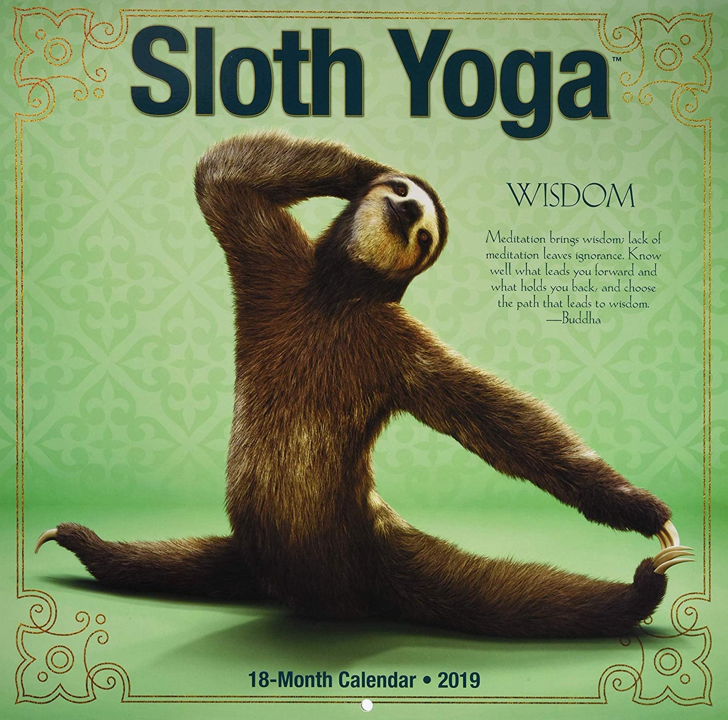 Sloth Yoga Calendar POPSUGAR Fitness