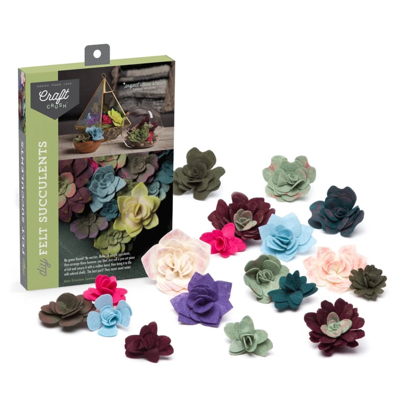 Craft Crush Felt Succulent DIY Art Craft Kit