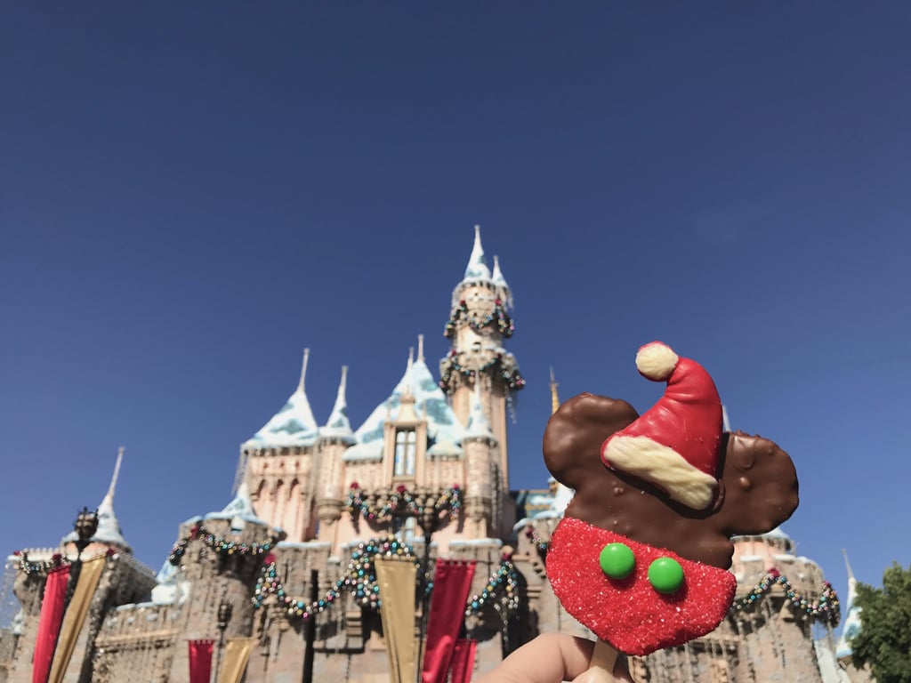 Disneyland Holiday 2016