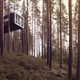 21 Unreal Tree Houses You Only Thought Existed in Your Fantasies
