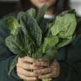 TikTok's "Dinosaur Time" Has People Eating Spinach by the Fistful — Want to Join?