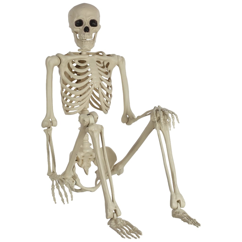 A Scary Skeleton: Life Size Poseable 5 Ft. Skeleton