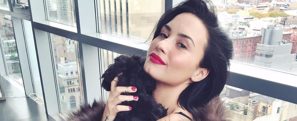 Demi Lovato's New Puppy Batman