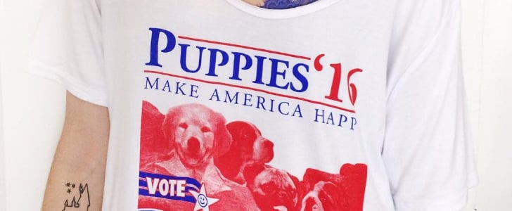 New Pets Products August 2016