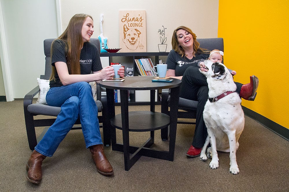 Wondercide Creators on Shark Tank