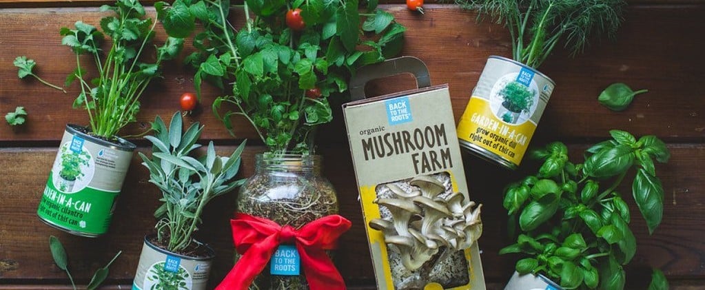 Eco-Friendly Gifts for Mom