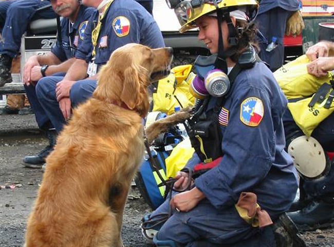 Birthday Party For Sept. 11 Rescue Dog