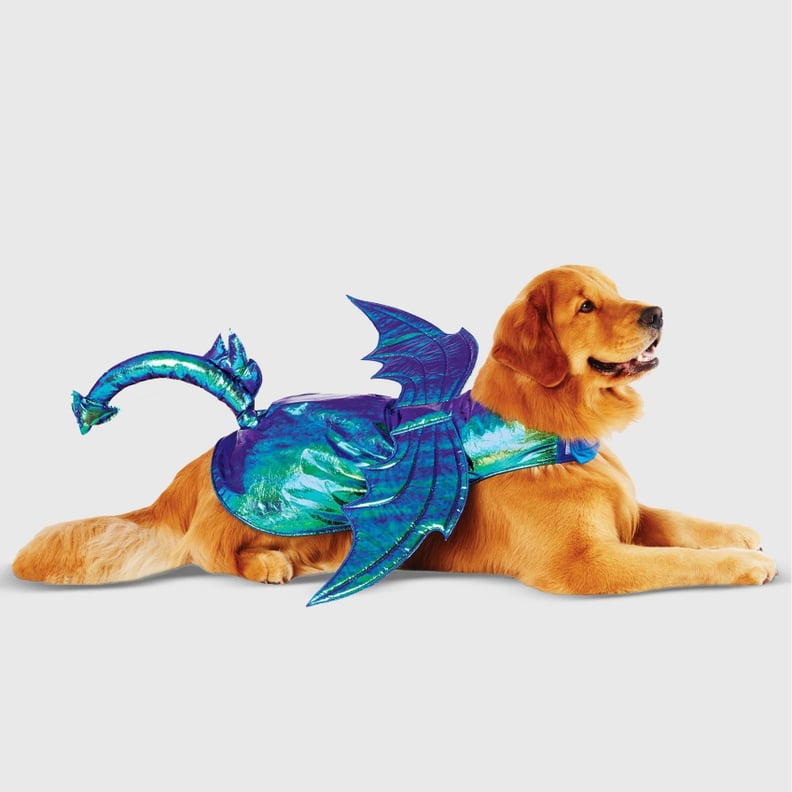 Iridescent Green Dragon Dog and Cat Costume