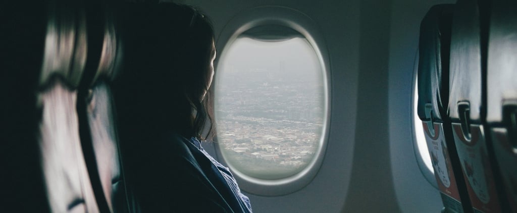 Is It Safe to Fly With a Pet?
