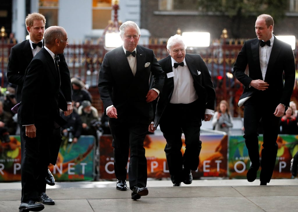 Harry, William, and Charles at Our Planet Premiere 2018