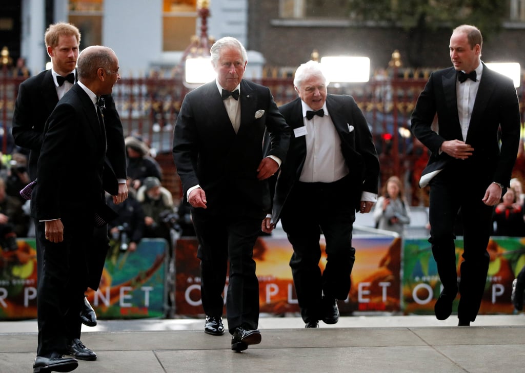 Harry, William, and Charles at Our Planet Premiere 2019