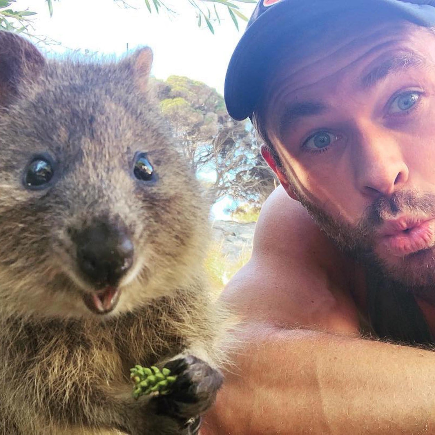 Chris Hemsworth With Quokka Animals in Australia March 2019 | POPSUGAR  Celebrity