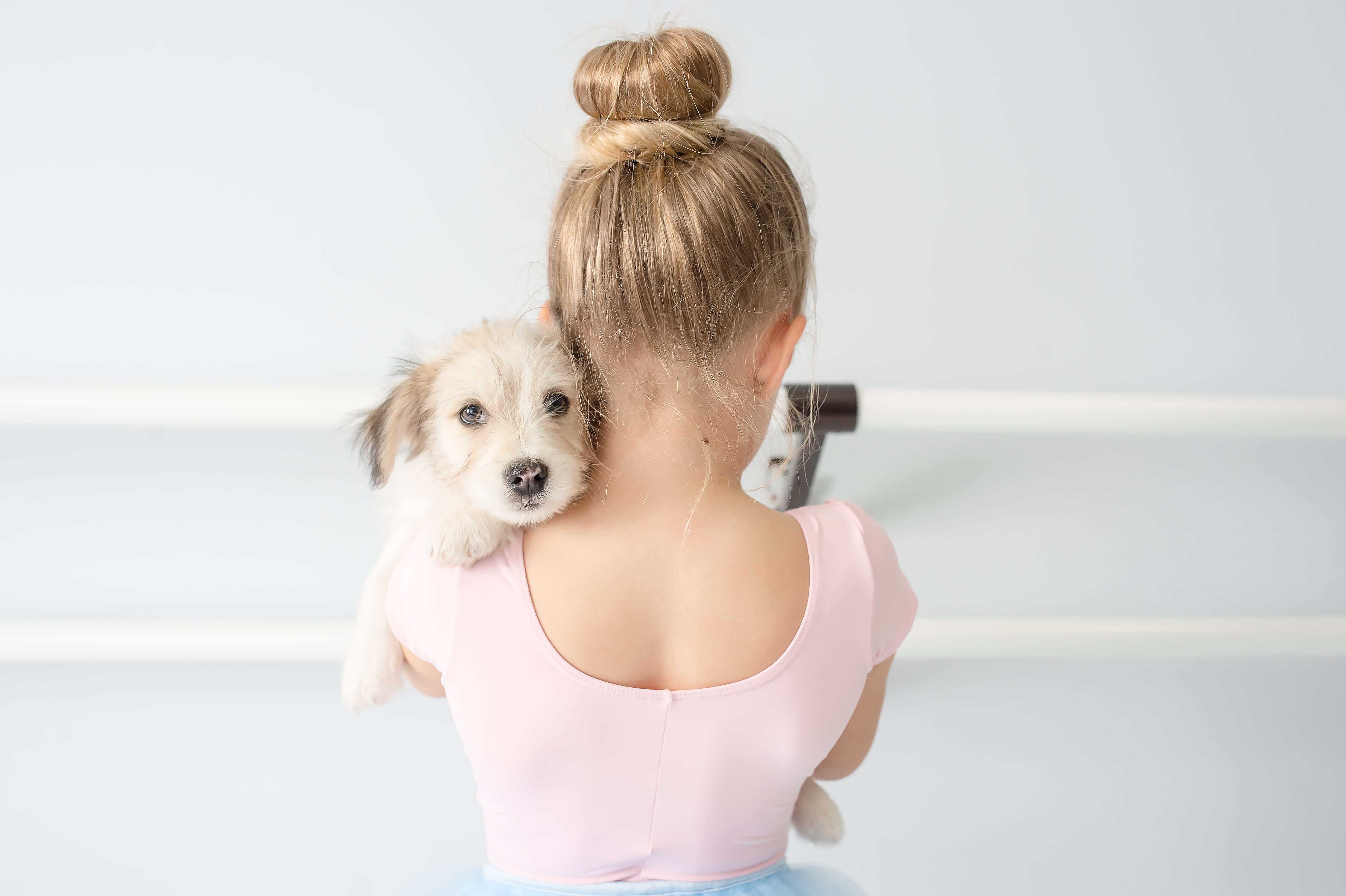Little rascals shop dog rescue