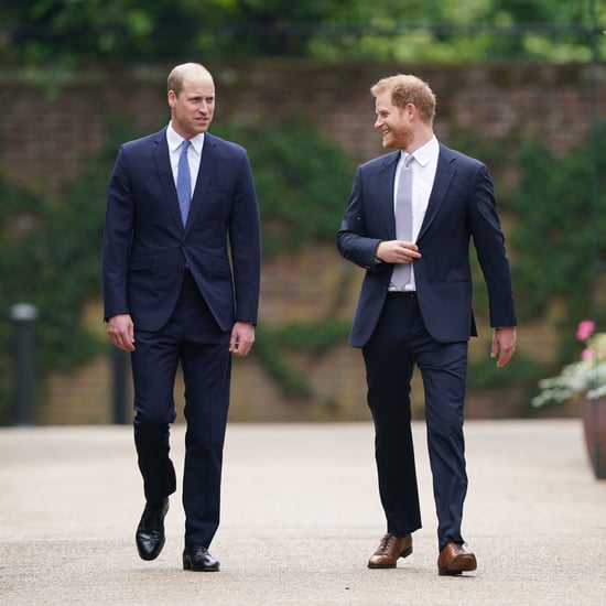 Prince Harry and Prince William Meet Diana Award Recipients