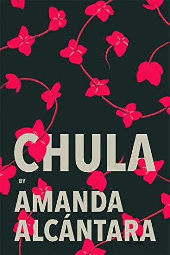 "Chula" by Amanda Alcántara