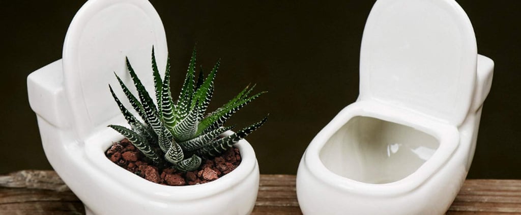 Amazon Is Selling Mini Toilet-Shaped Succulent Planters
