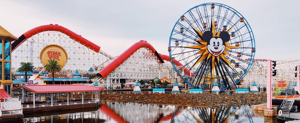 Does Disneyland Have a No-Screaming-on-Rides Policy?