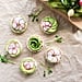 Avocado Rice Cake Recipes
