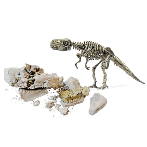 Protocol Dinosaur Fossil Kit