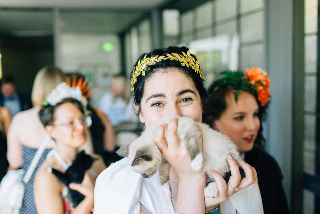 Couple Has Kitten Hour at Their Wedding