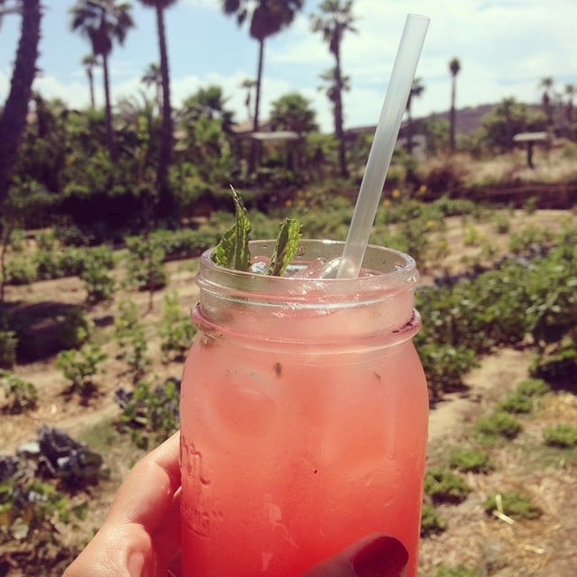 Lauren Conrad sipped on a fresh cocktail. 
Source: Instagram user laurenconrad