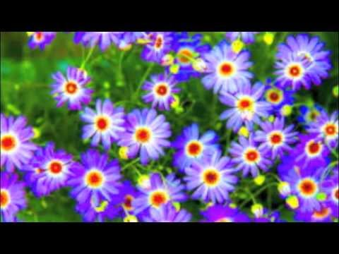 Lenny Kravitz — "Flowers For Zoë," For Zoë Kravitz