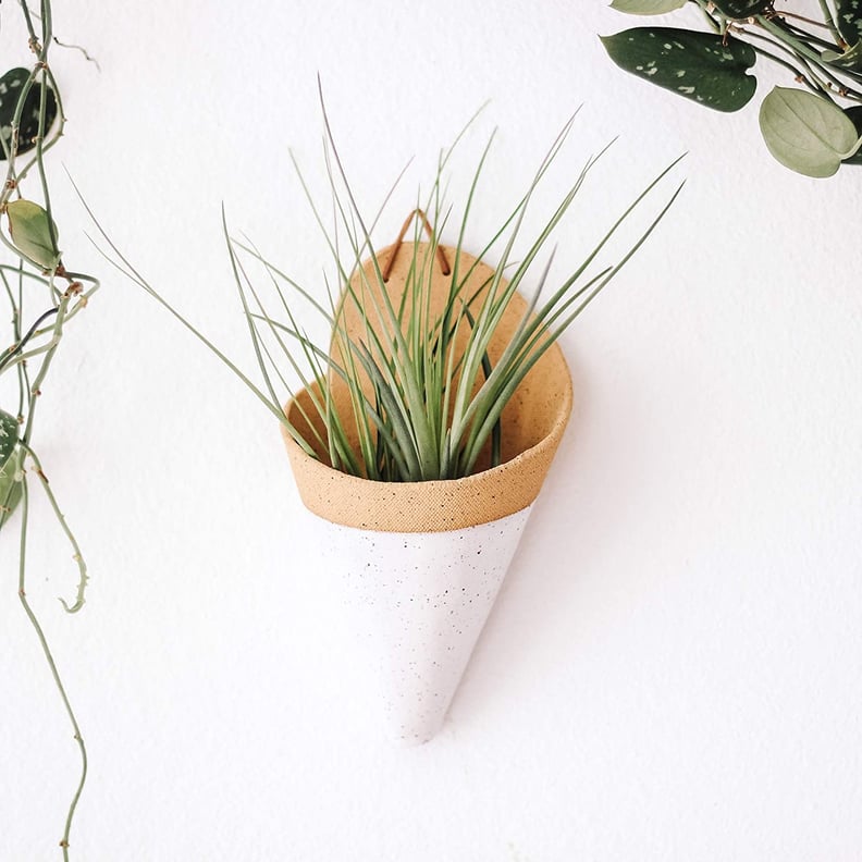 Carter and Rose Ceramic Wall Planter Large With Air Plant