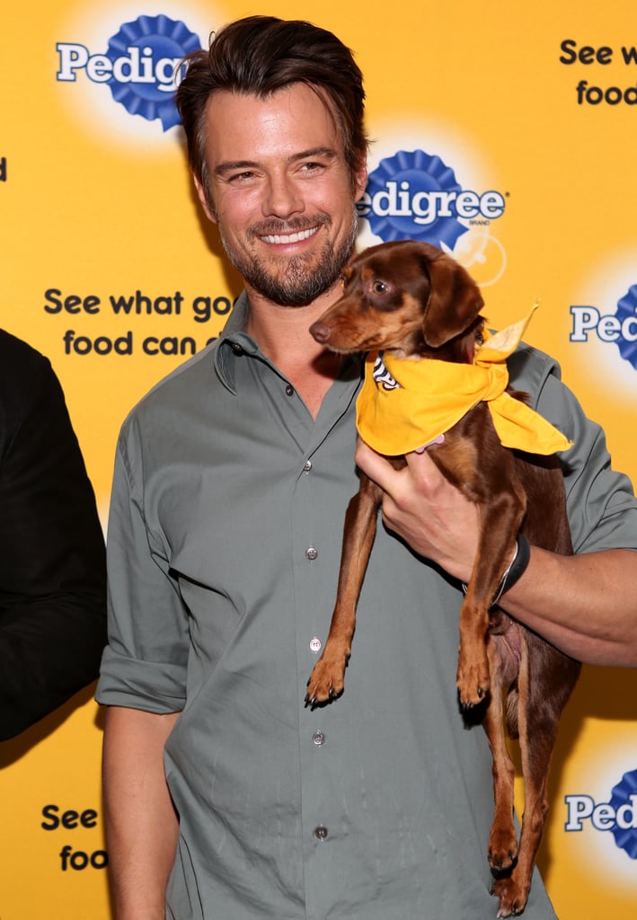 Josh looked extra cute holding on to a puppy at the Sundance Film Festival in January 2014.