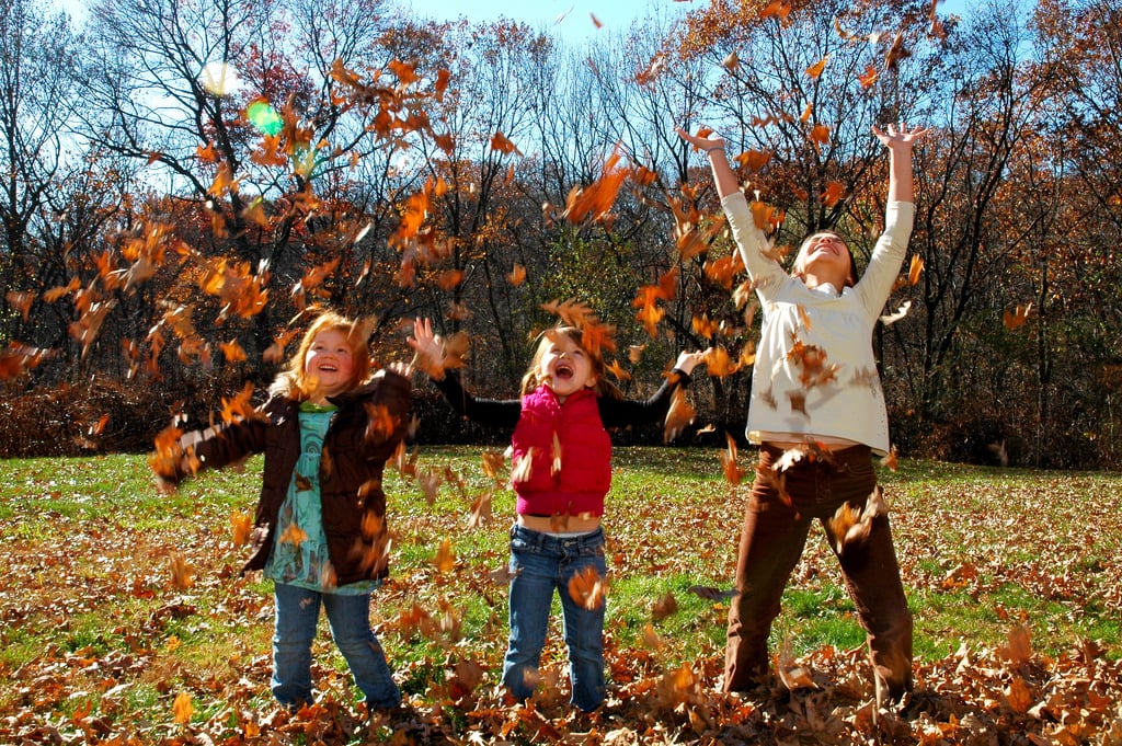 All the Kids Tossing Leaves