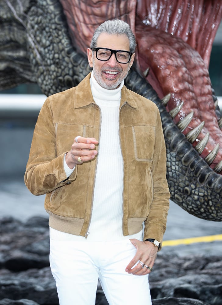 Jeff Goldblum Jurassic World: Fallen Kingdom Press Tour | POPSUGAR