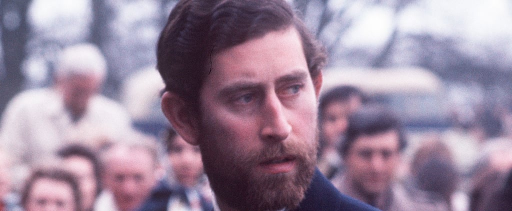 Prince Harry and Prince Charles Lookalike Beard Photos