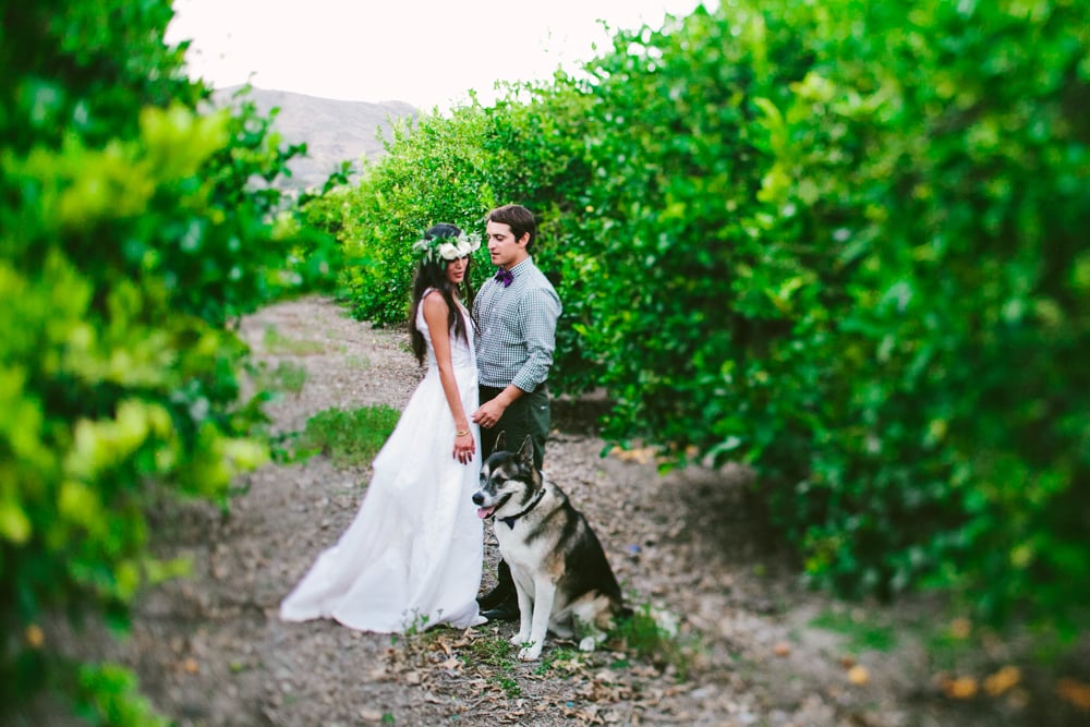 Lemon Orchard Wedding