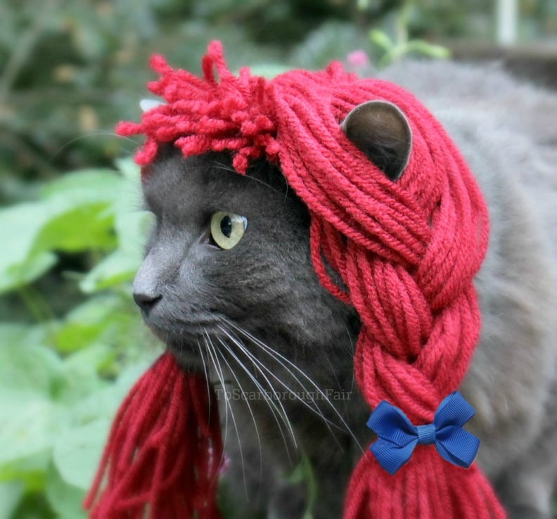 Raggedy Ann Cat Costume