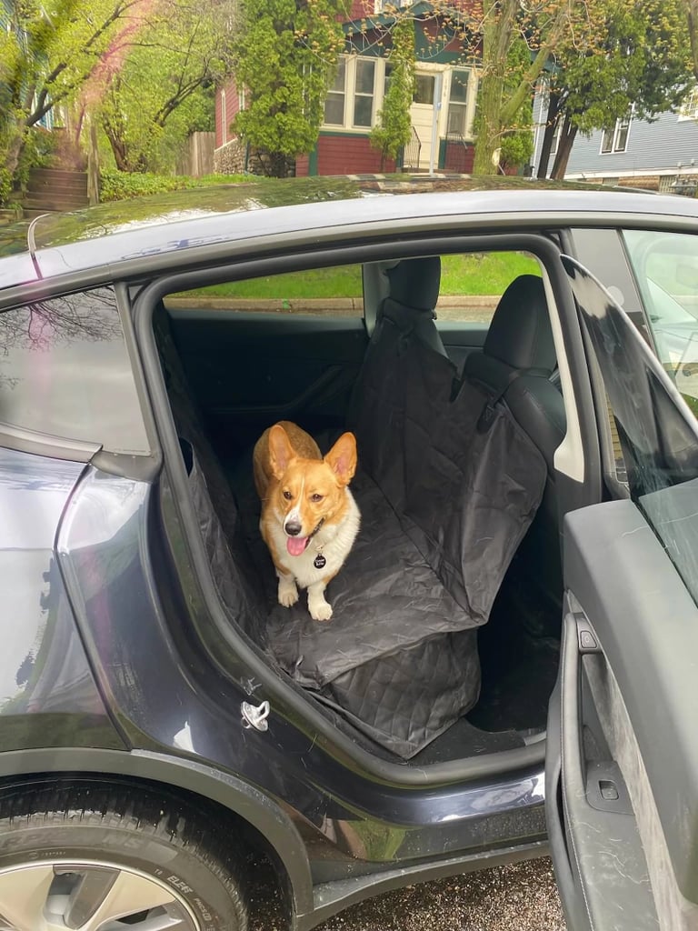 Best Car Seat Cover