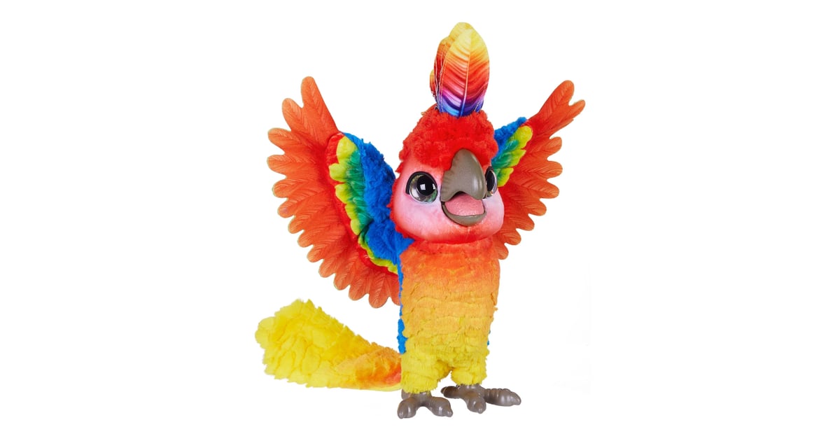 Rock a too the show bird new arrivals