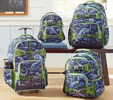 dinosaur backpack and lunchbox set