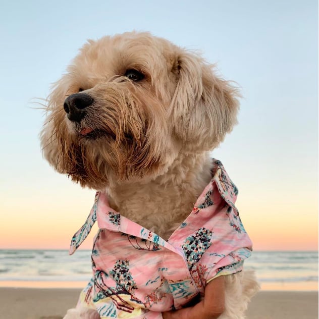 OMG, This 1-Year-Old Smashed an R2-D2 Cake For His Birthday, and There's Blue Everywhere