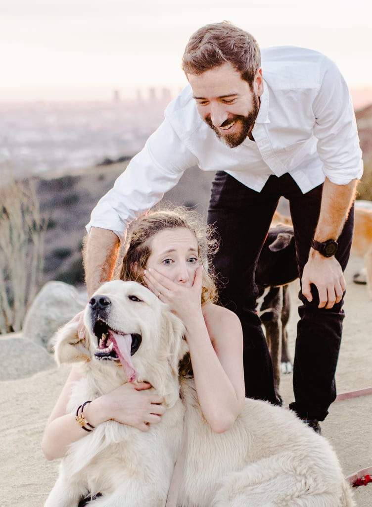 Man Proposes to His Girlfriend With 16 Dogs