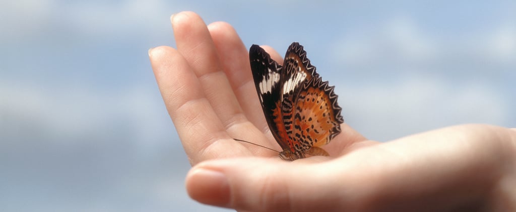 What Is the Butterfly Effect? A Therapist Explains