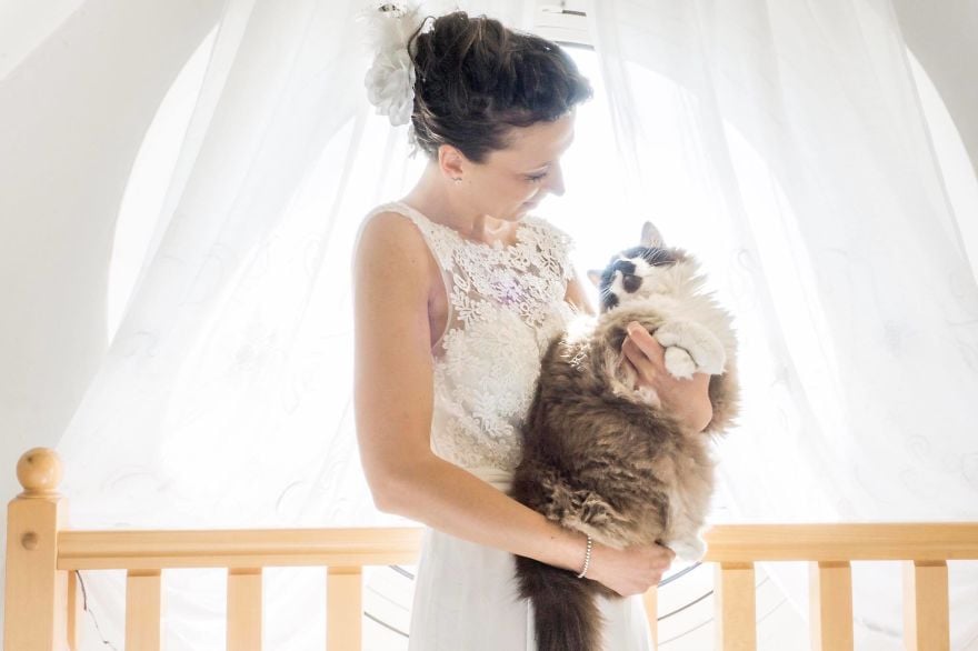 Wedding Photos With Cats POPSUGAR Love & Sex Photo 5